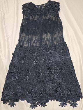 ANGL Womens Small Black Lace Mini Dress Sheer Bodice 3D Floral Overlay Night Out